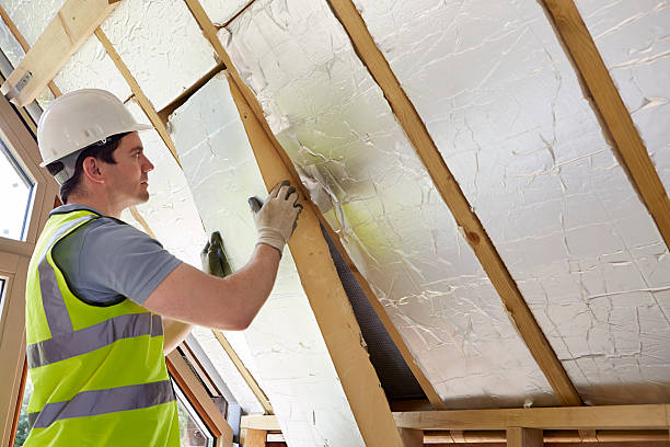 Best Cellulose Insulation  in USA